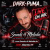 -_Dark-Puma-_